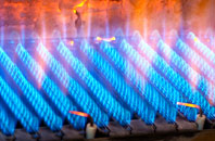 Beauvale gas fired boilers